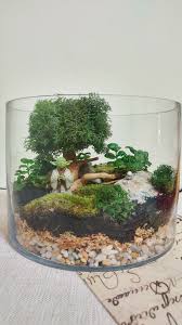 Msg 49 Be A Candle Or The Night Open Terrarium Sold Open Terrariums Fairy Garden Plants Terrarium