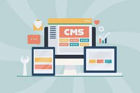 ¿Qué es un CMS y cuándo elegir WordPress vs desarrollo personalizado?