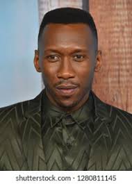 Jan Ali Photos and Images