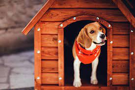 Usa la app de leroy merlin para comprar online estés donde estés. Cuccia Per Beagle Da Esterno Come Sceglierla In Modo Ottimale