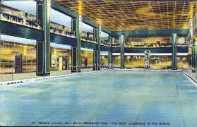 George's dock has been met with criticism since it was first made public in 2019. St George Hotel Pool Brooklyn Heights Ny St Georges Hotel Ny City Brooklyn Heights