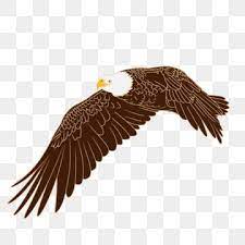 Eagle Picture Free Png Transparent Layer Material Whitehead Eagle Tiger Head Sea Eagle American National Bird Bald Eagle Png Transparent Clipart Image And Ps Eagle Pictures Free Png Blue Poster
