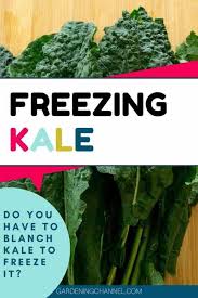 Check spelling or type a new query. Can I Freeze Kale Without Blanching Gardening Channel