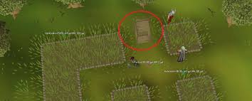 A potato cactus seed can be planted in a cactus patch to grow a potato cacti in 560 minutes. Old School Runescape The Complete Farming Guide