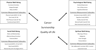 Significance of cancer in dreams indicates that you are anxious about the people you love. A Closer Look At Quality Of Life In The Hepatocellular Carcinoma Literature Springerlink