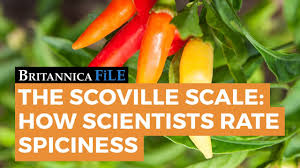 Britannica File The Scoville Scale How Science Rates Spicy Encyclopaedia Britannica