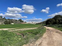 Image result for Haig Green 1929 Dodge