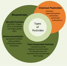 Biological pest control, alone or as a part of an integrated pest management (ipm) strategy, represents such an alternative to chemical pesticides. Gmos And Pesticides Helpful Or Harmful Science In The News