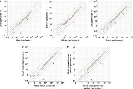 Global atlas on cardiovascular disease prevention and control. Mirna Expression Atlas In Male Rat Scientific Data