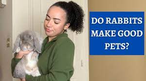 Do Rabbits Make Good Pets Youtube