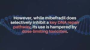 Image result for Mibefradil