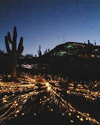 Az Big Media On Instagram We Re Here At The Grand Opening Of Bruce Munro Desert Botanical Garden Birmingham Botanical Gardens Desert Botanical Garden Phoenix