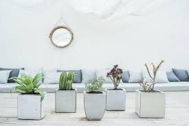 Epingle Sur Deco Jardin A La Grecque