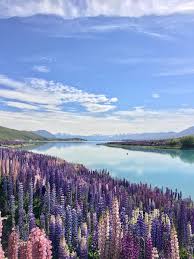 My jaw dropped when i saw this place while driving across new zealand, not knowing it was coming made it even better. Stunning Lake Tekapo New Zealand 1334x750 Oc Earthporn
