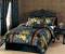 Master Bedroom Elegant Bedding