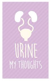 Express yourself this valentine's day with zazzle! Funny Medical Valentine S Day Card Download Urine Etsy In 2020 Medical Jokes Medical Humor Nursing Valentine
