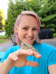 Gray tree frog sighting in the garden