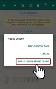 Perlu dicatat bahwa di android, whatsapp hanya. Cara Melihat Pesan Whatsapp Yang Sudah Dihapus