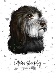 Mar 01, 2021 · another brainy belgian dog, the schipperke descends from the same family as the belgian sheepdog. Catalan Sheepdog 2020 Planner Dated Weekly Diary With To Do Notes Dog Quotes Awesome Calendar Planners For Pup Owners Pedigree Breeds Books Topwuff 9781675348642 Amazon Com Books