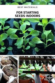Indoor gardening requires a different set of supplies and techniques than traditional outdoor gardening. How To Start Seeds Indoors And The Best Tools And Equipment Gardening Channel