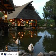 Tatil malzemelerini hazırlayıp doğada huzur bulacağın bir tatil yapmayı özledin mi? Dream A Perfect Holiday Inside The Nature Thanks A Lot To A Lex Zhuk Dogayla Ic Ice Bir Tatil Dusleyin Lights Eveningmood Hotel Resort Otpusk