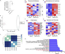 Inflammatory responses in the placenta upon SARS-CoV-2 infection late in  pregnancy: iScience