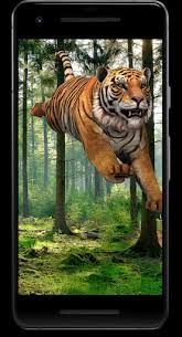Download Tiger 3d Video Live Wallpaper Free For Android Tiger 3d Video Live Wallpaper Apk Download Steprimo Com We have 70+ amazing background pictures carefully picked by our community.
