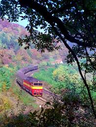 Hist205 Jpg 782 1024 Rail Transport Train Railroad