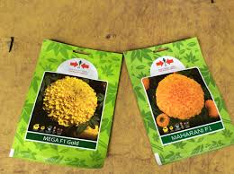 Check spelling or type a new query. Kokok Dirgantoro On Twitter Penanda Depan Rumah Pak Diana Foto Satunya 2 Varietas Benih Marigold Yg Ditanam Blio Per Pouch Berisi 100 Benih Harga Per Pouch Rp62rb Https T Co Dodyfz6q2n