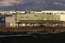 Taylor Farms says ex-president committed $32M fraud, including UC Berkeley gift