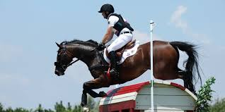 Official medal count for the tokyo 2020 olympics. Ausserst Tragisch Schweizer Olympia Pferd Jet Set Eingeschlafert