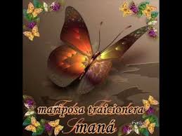 Resultado de imagen para letra de la canción mariposa traicionera