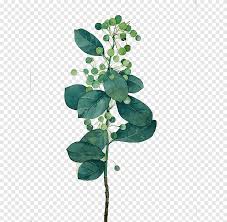 Check spelling or type a new query. Leaf Watercolor Painting Watercolor Leaves Green And White Plant Painting Television Watercolor Leaves Png Pngegg