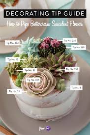 Stunning Succulent Cakes Recipe Succulent Cupcakes Succulent Cake Cake