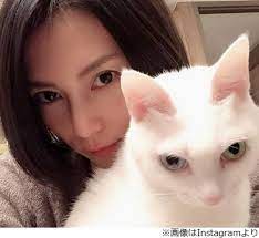 柴咲コウは猫目で三白眼？ 劣化した現在がブサイク？ ２０１９年４月からwowwowプライムで放送される『連続ドラマｗ 坂の途中の家』で主演を務める女優の柴咲コウ（しばさき こう）さん。 æŸ´å'²ã‚³ã‚¦ ãƒã‚³ã§ãƒ†ãƒ³ã‚·ãƒ§ãƒ³max çŠ¶æ…‹ã¯ ã²ã©ã„ 2019å¹´6æœˆ4æ—¥ ã‚¨ã‚­ã‚µã‚¤ãƒˆãƒ‹ãƒ¥ãƒ¼ã‚¹