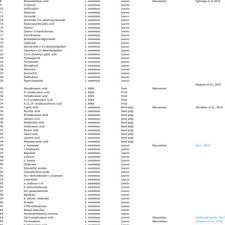 Image result for Landolphia incerta