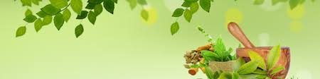 Kairali ayurvedic treatment center and healthcare clinic. Pathya Ayurvedic Treatment Centre Thiruvananthapuram Kerala India Professional Profile Linkedin