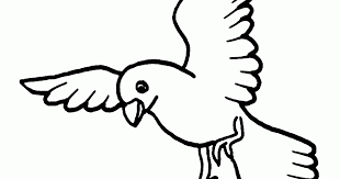 El turpial es una de las aves más hermosas de venezuela y fue declarado ave nacional de venezuela el 23 de mayo de 1958. Dibujos Sin Colorear Dibujos De Pajaros Para Colorear