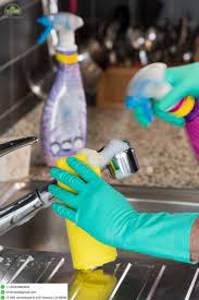 Cleaning Services House Cleaning Services Holiday Cleaning Cleaning Service