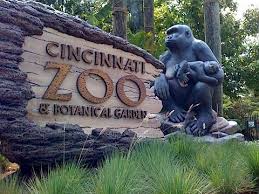 Family friendly zoo committed to inspiring visitors with wildlife and saving species. Cincinnati Zoo Lifting Mask Requirements For Fully Vaccinated Guests Starting Wednesday Whio Tv 7 And Whio Radio