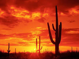 Photos, address, and phone number, opening hours, photos, and user reviews on yandex.maps. 89 I Love Arizona Ideas Arizona Places To See Scenery