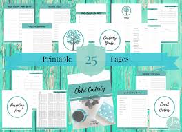 Child Custody Digital Tool Kit Child Custody Parenting Plan Custody Child Custody Battle