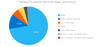 america race demographics pie chart www bedowntowndaytona com