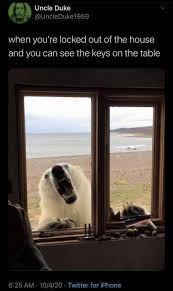 Morning Wake Up Call Fresh Animal Memes October 11th 2020 Animal Memes Wake Up Call Wake Up