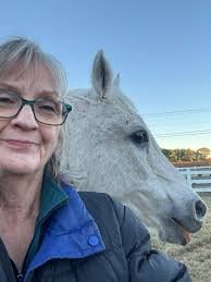 Introduction to horse Bud