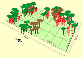 Image result for Chrysophyllum gorungosanum