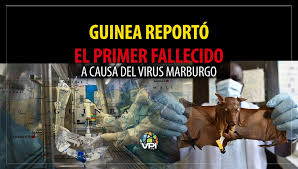 Esta es una lista no exhaustiva, de enfermedades infecciosas humanas por tasa de letalidad (tl), de las cuales algunas son enfermedades de declaración obligatoria.la tl es la proporción (en %) de personas diagnosticadas con una enfermedad que mueren durante el curso de la enfermedad. 5wpfl29kof3t8m