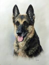 Bill paints pet portraits is where you can immortalize a favorite pet or an old barn hand painted in oil on stretched canvas guaranteed with a 100% money back satisfaction if not completely satisfied. Pet Portraits The Art Of Lisa Ober