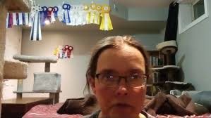 The Black Stallion Mystery (Author: Walter Farley) a review