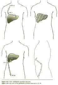 Gallbladder Meridian